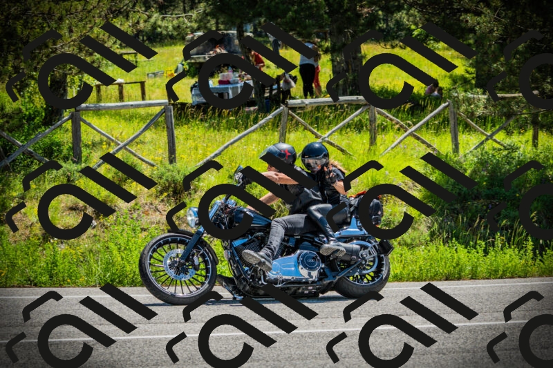 202506021142-DSC03874_c1_