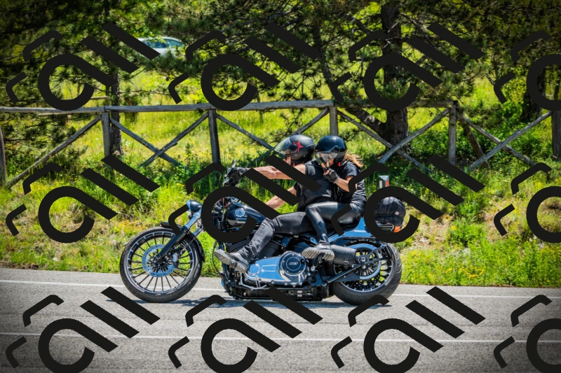 202506021142-DSC03875_c1_