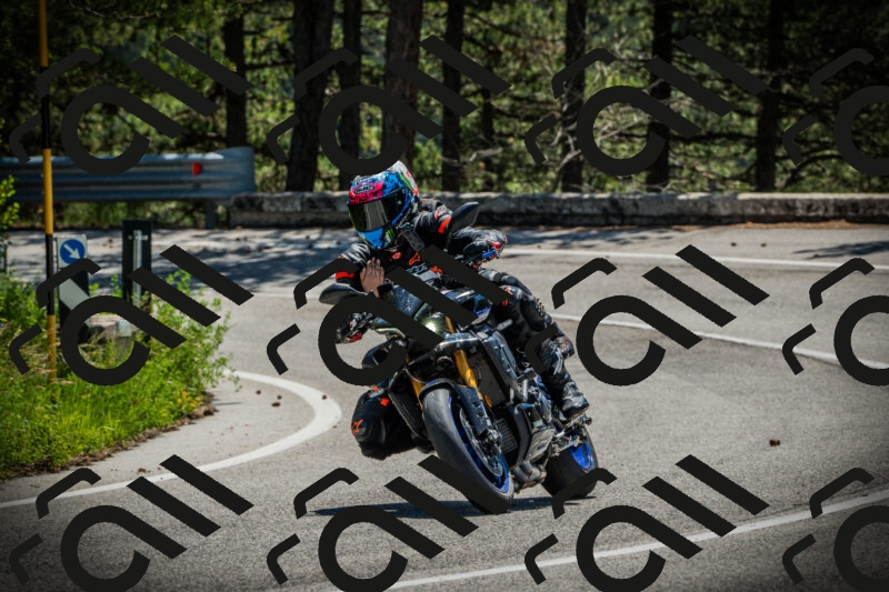 202506021142-DSC03877_c1_