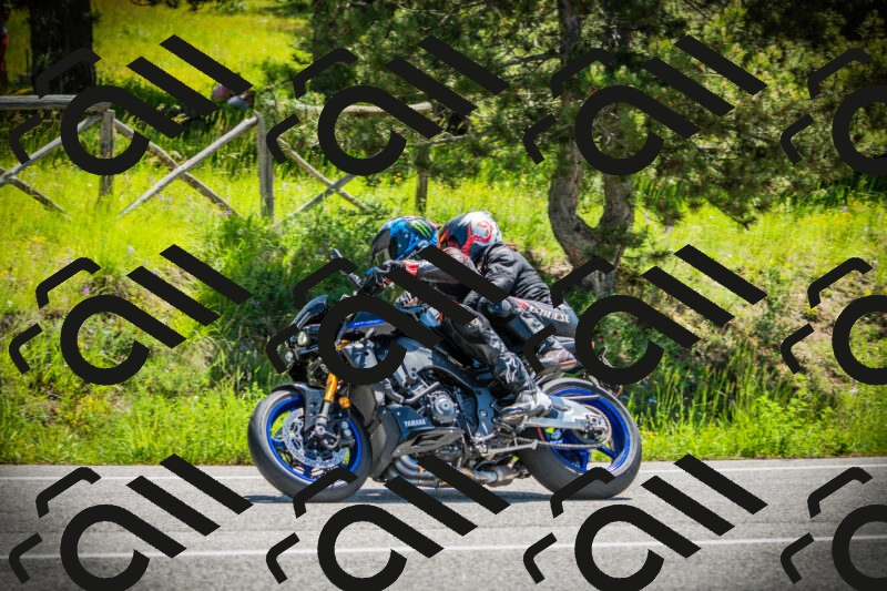 202506021143-DSC03878_c1_