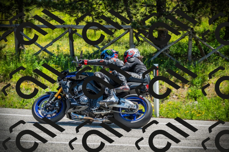 202506021143-DSC03879_c1_