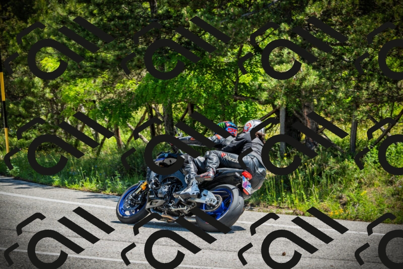 202506021143-DSC03880_c1_