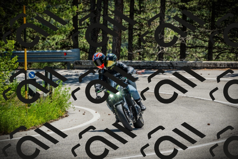 202506021143-DSC03885_c1_