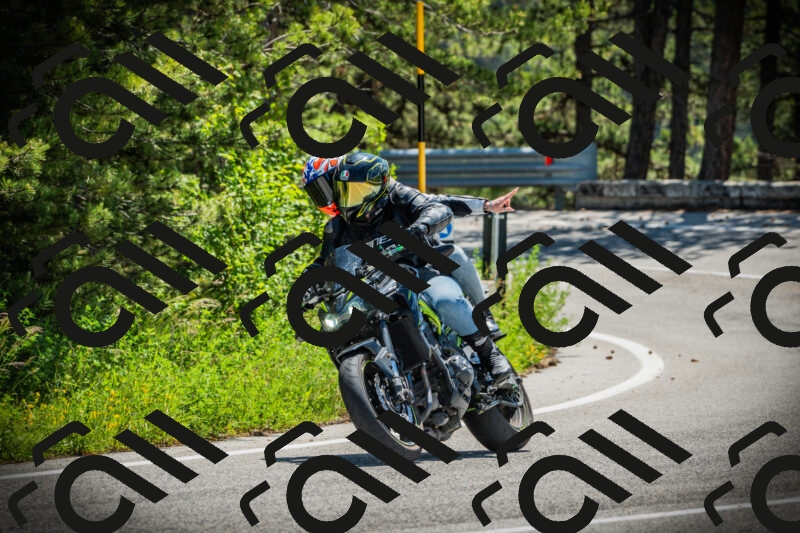 202506021143-DSC03886_c1_