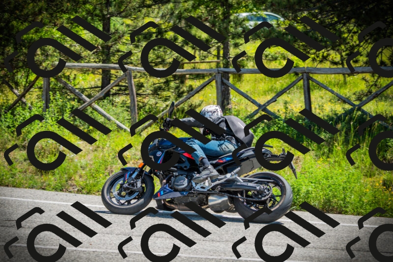 202506021143-DSC03890_c1_