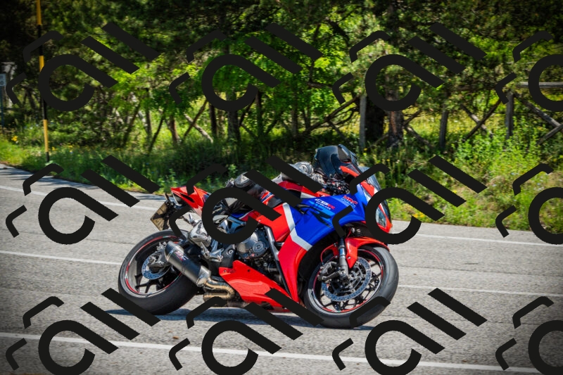 202506021143-DSC03894_c1_