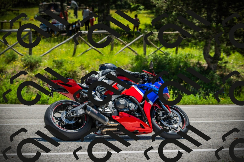 202506021143-DSC03895_c1_