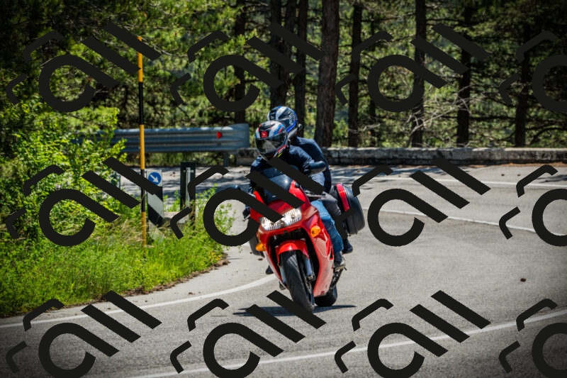 202506021143-DSC03901_c1_