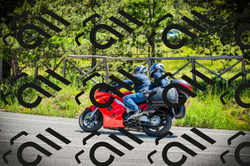 202506021143-DSC03903_c1_