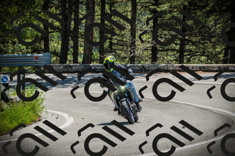 202506021144-DSC03905_c1_