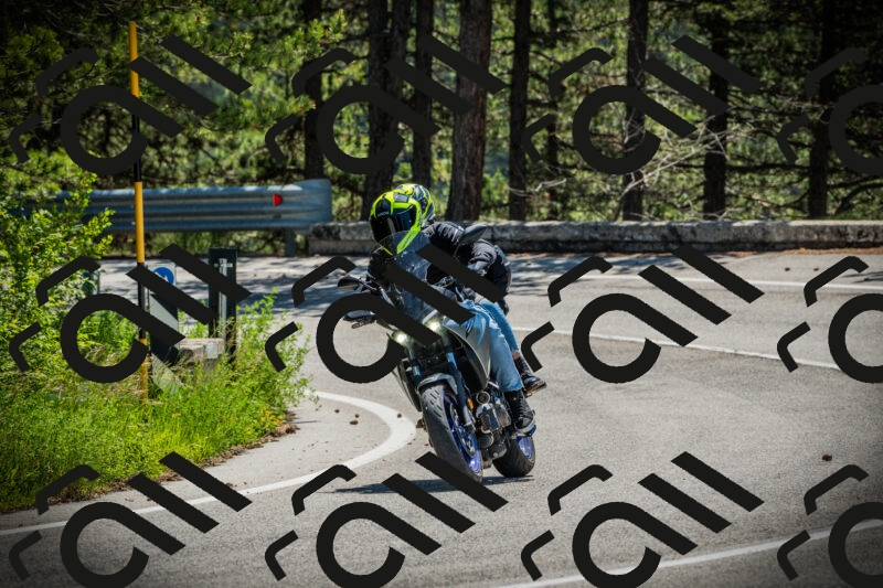 202506021144-DSC03906_c1_