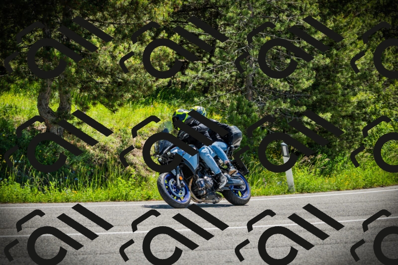 202506021144-DSC03907_c1_