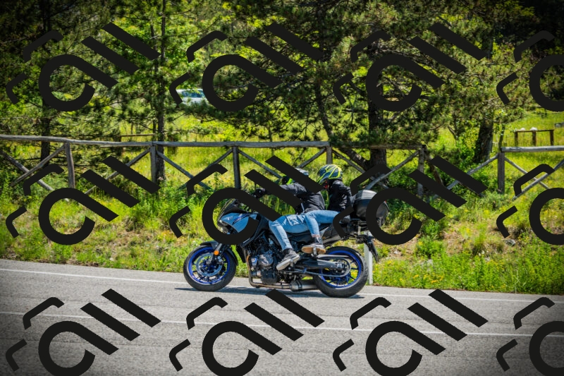 202506021144-DSC03908_c1_