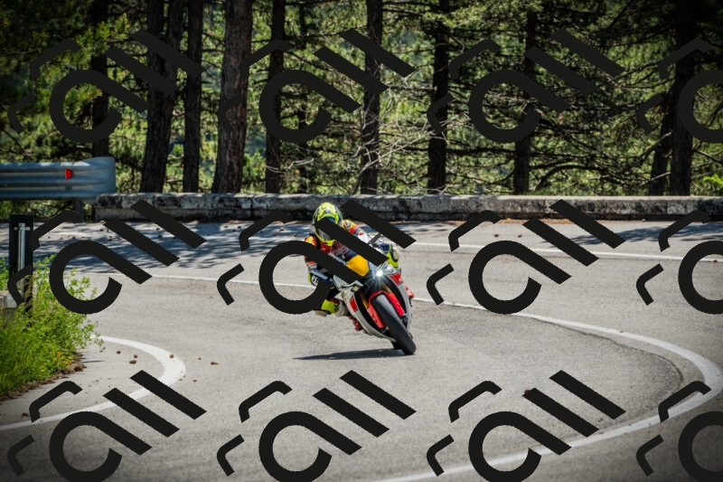 202506021144-DSC03910_c1_