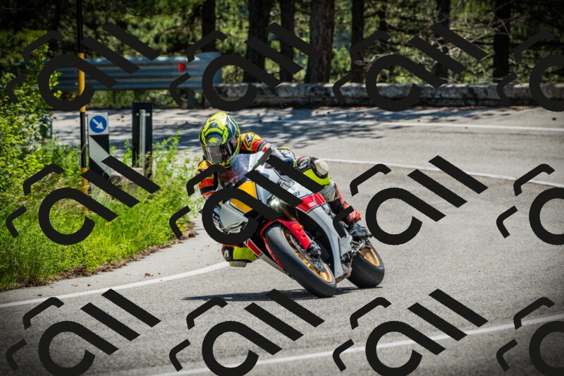 202506021144-DSC03912_c1_