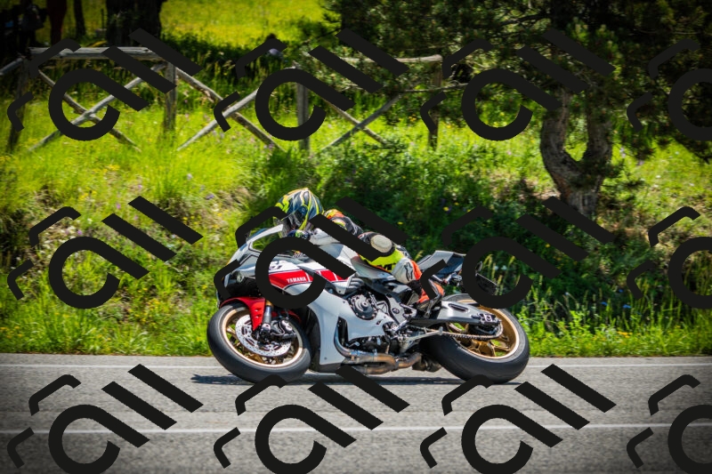 202506021144-DSC03913_c1_