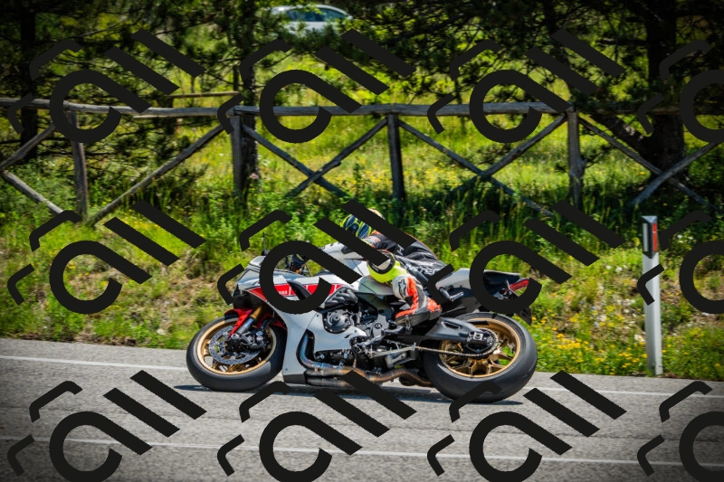 202506021144-DSC03914_c1_