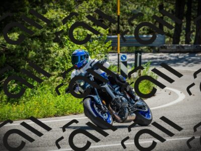 202506021144-DSC03917_c1_