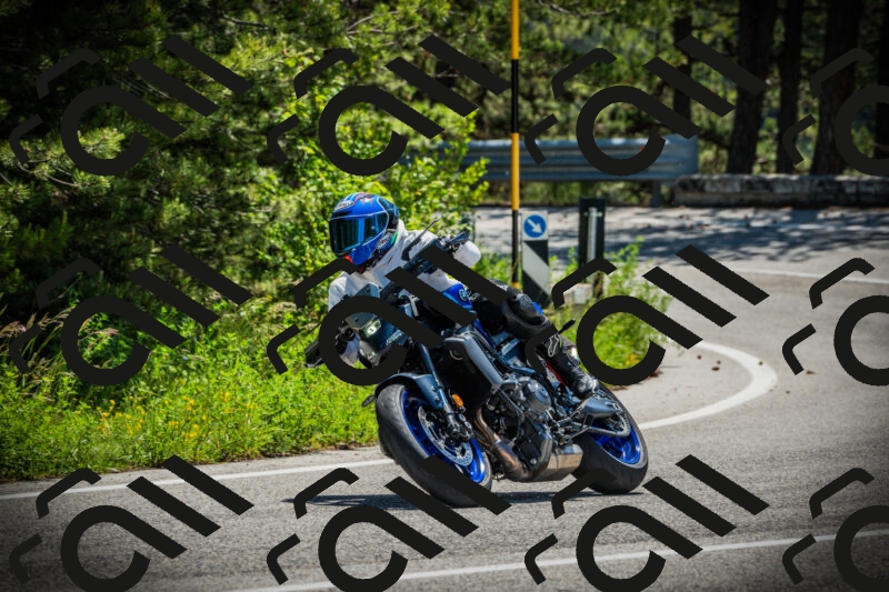 202506021144-DSC03917_c1_