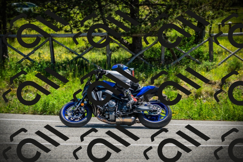 202506021144-DSC03918_c1_