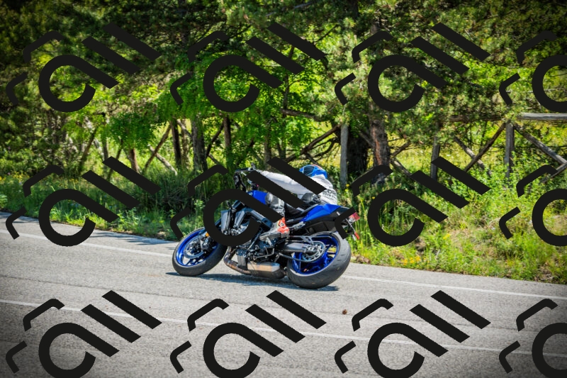 202506021144-DSC03919_c1_