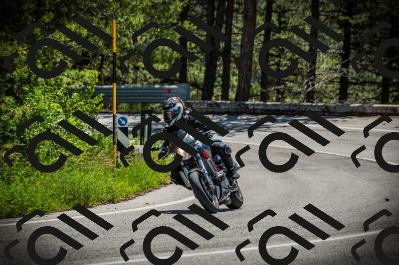 202506021144-DSC03920_c1_