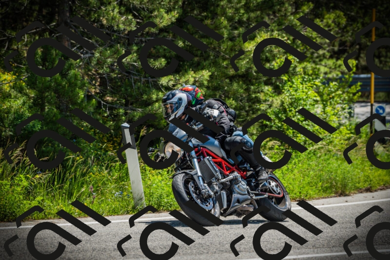 202506021144-DSC03921_c1_