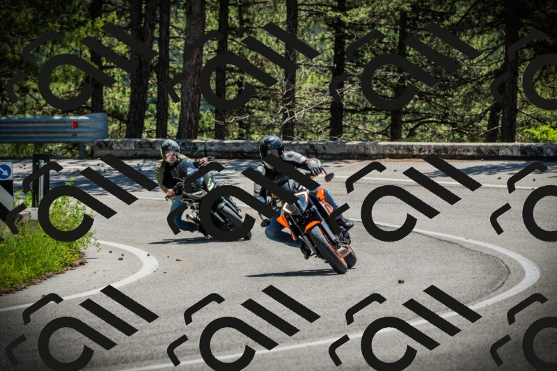 202506021145-DSC03924_c1_