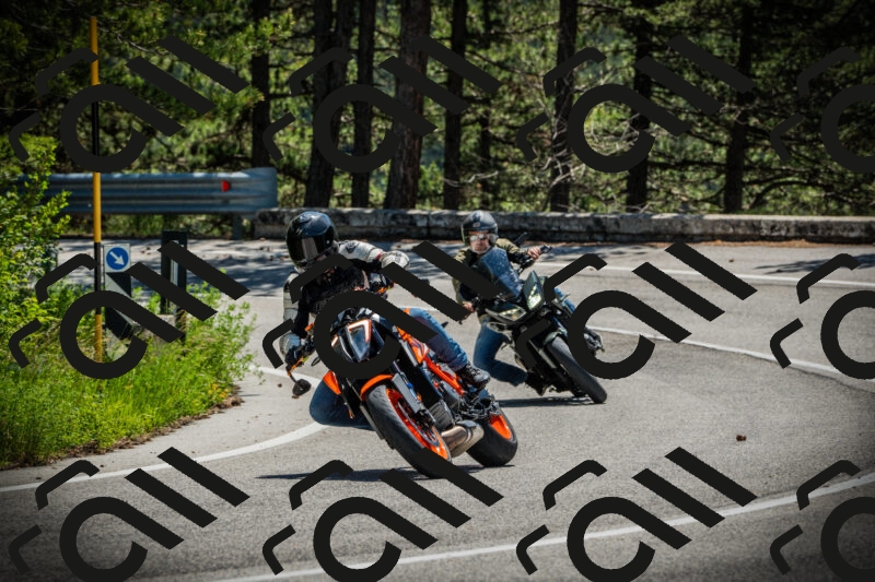 202506021145-DSC03925_c1_