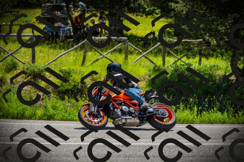 202506021145-DSC03926_c1_