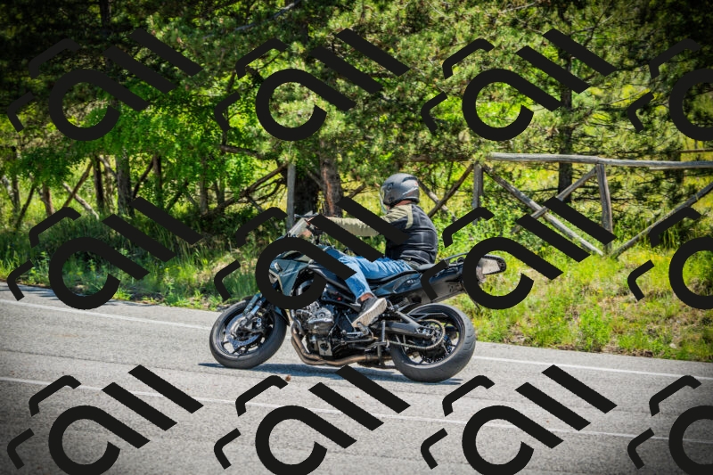 202506021145-DSC03929_c1_