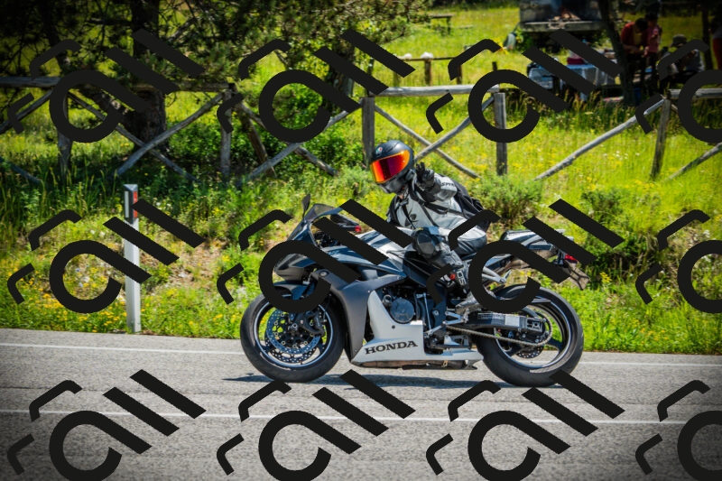 202506021145-DSC03931_c1_