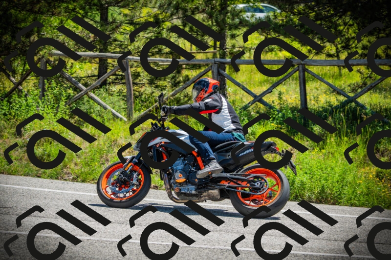 202506021145-DSC03933_c1_