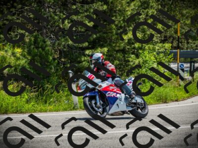 202506021145-DSC03935_c1_