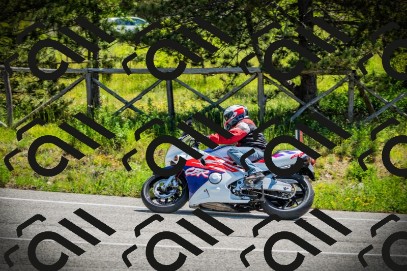 202506021145-DSC03936_c1_