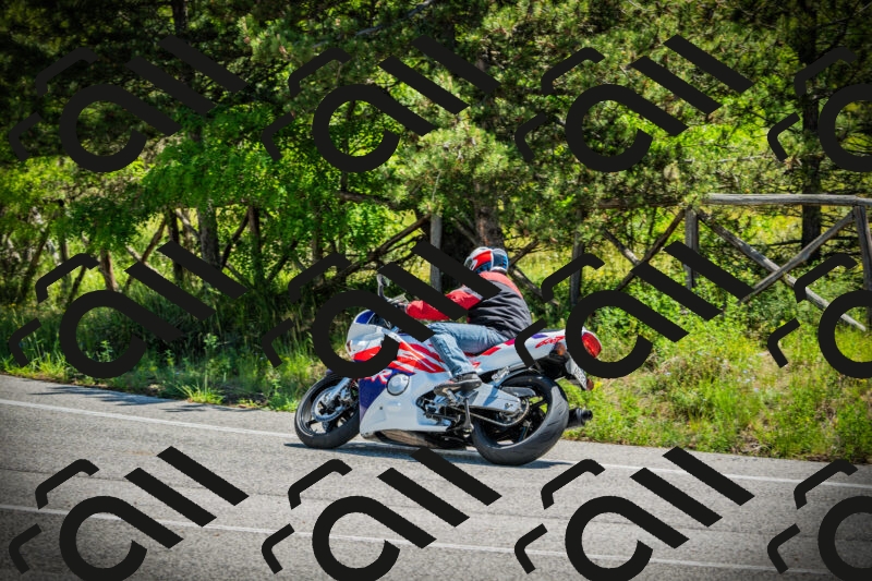 202506021145-DSC03937_c1_