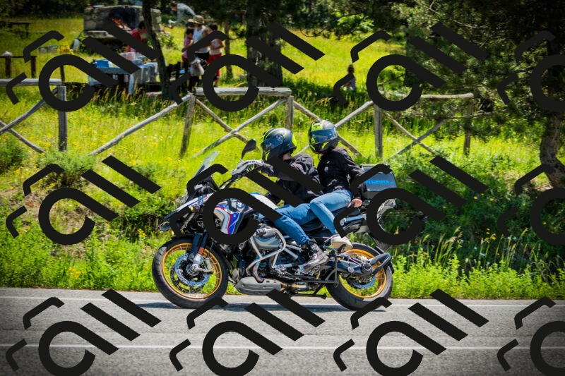 202506021145-DSC03941_c1_