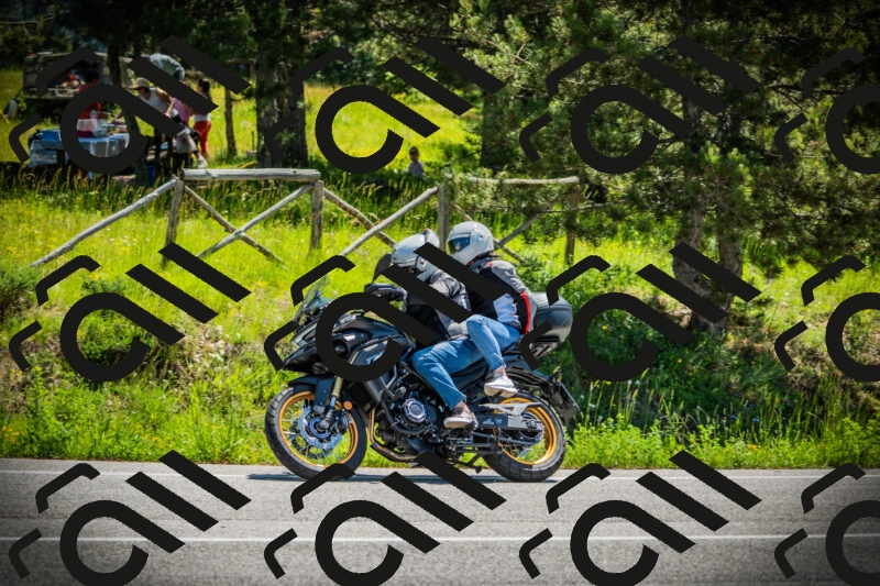 202506021145-DSC03942_c1_