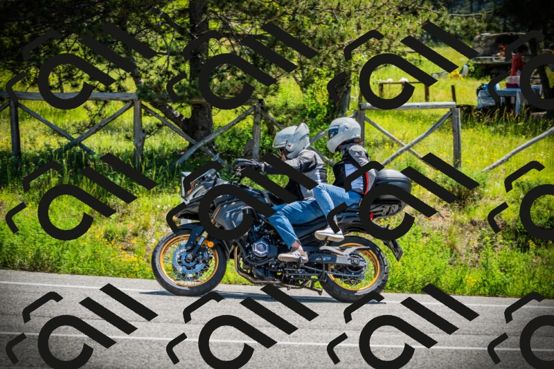 202506021145-DSC03943_c1_