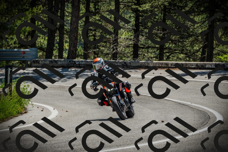 202506021145-DSC03947_c1_