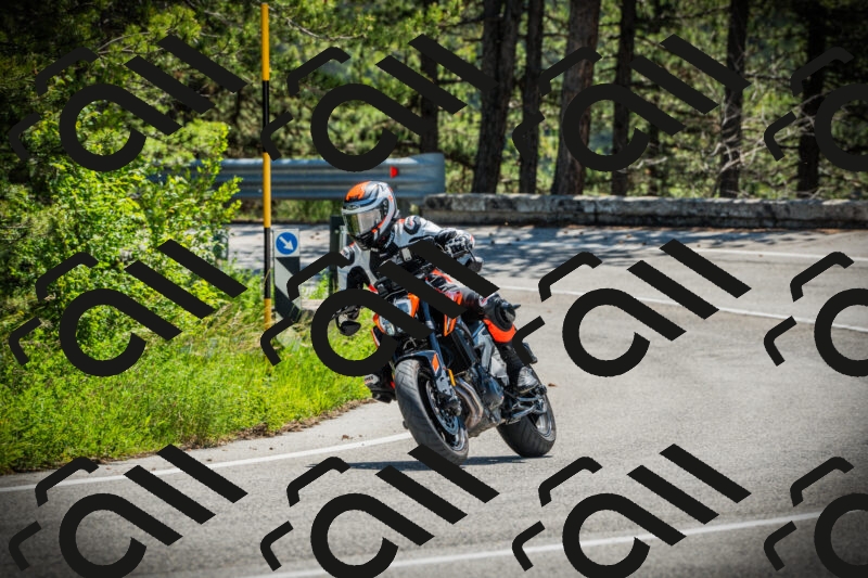 202506021145-DSC03948_c1_