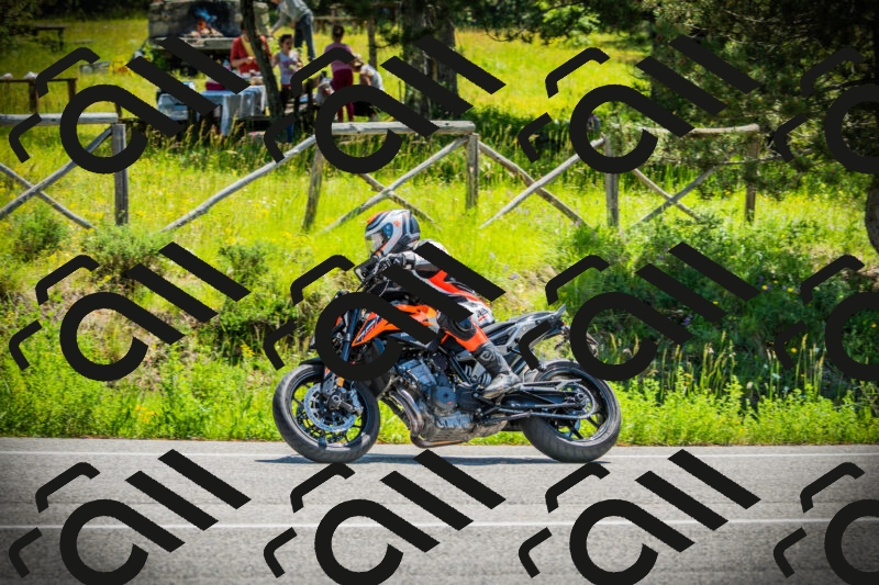 202506021145-DSC03949_c1_