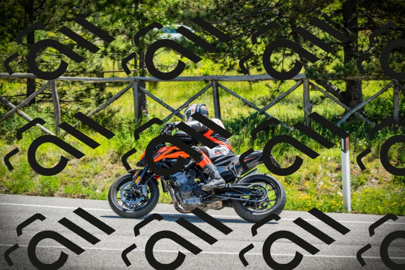 202506021145-DSC03950_c1_