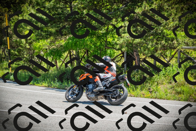 202506021145-DSC03951_c1_