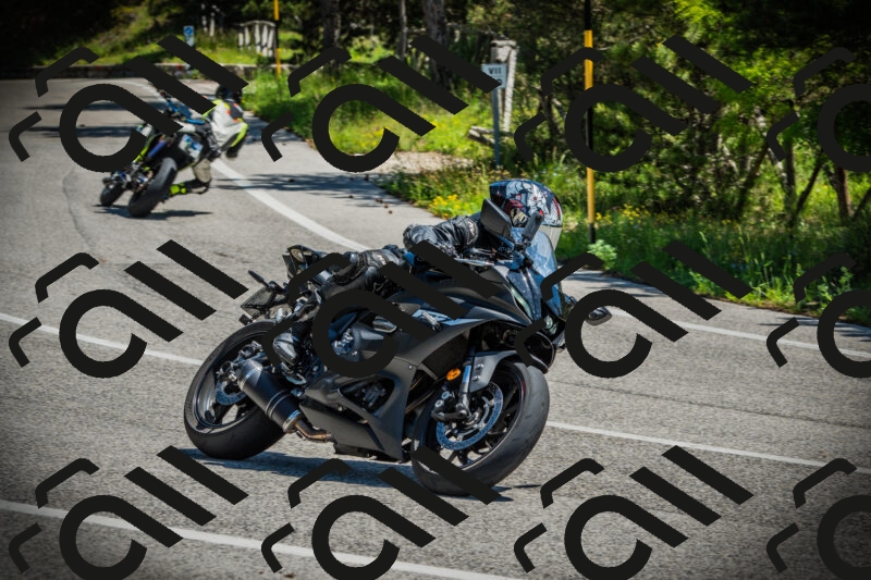 202506021146-DSC03954_c1_