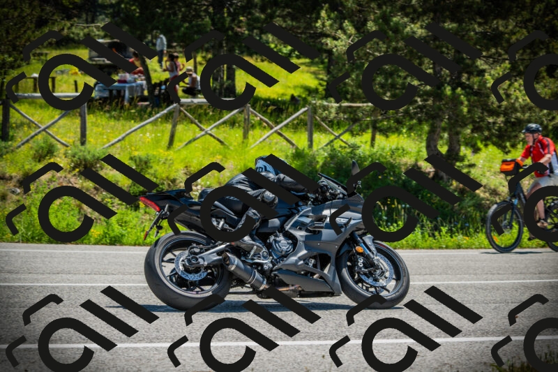 202506021146-DSC03955_c1_