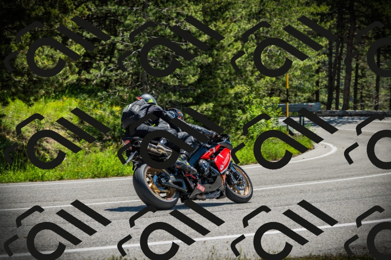 202506021146-DSC03957_c1_