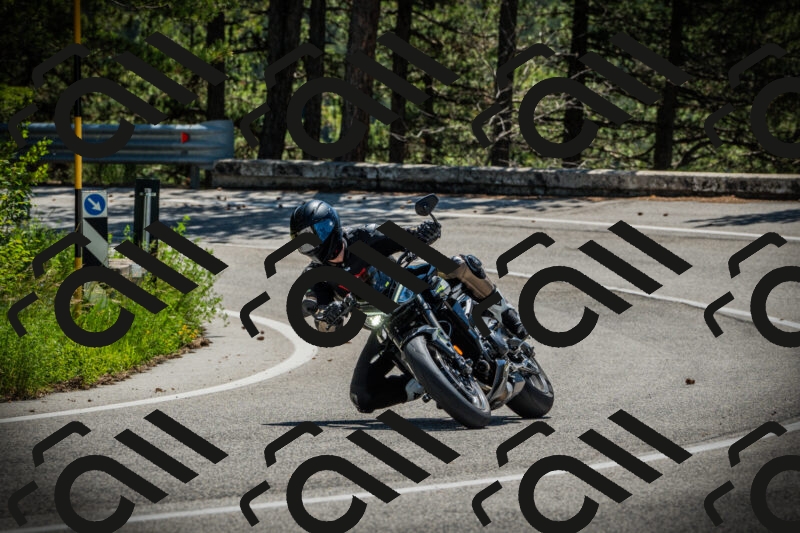 202506021147-DSC03965_c1_