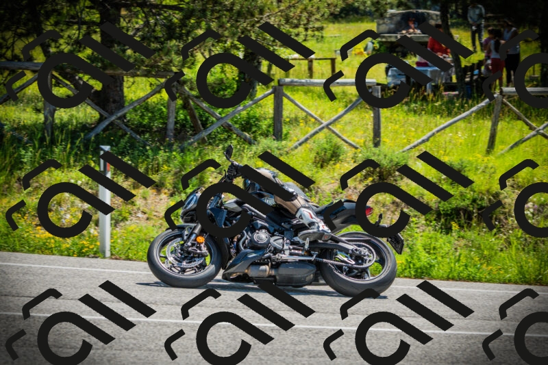 202506021147-DSC03966_c1_