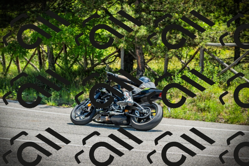 202506021147-DSC03967_c1_